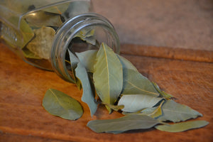 framedposter-print-bay-leaves