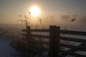 canvas-print-winter-mood