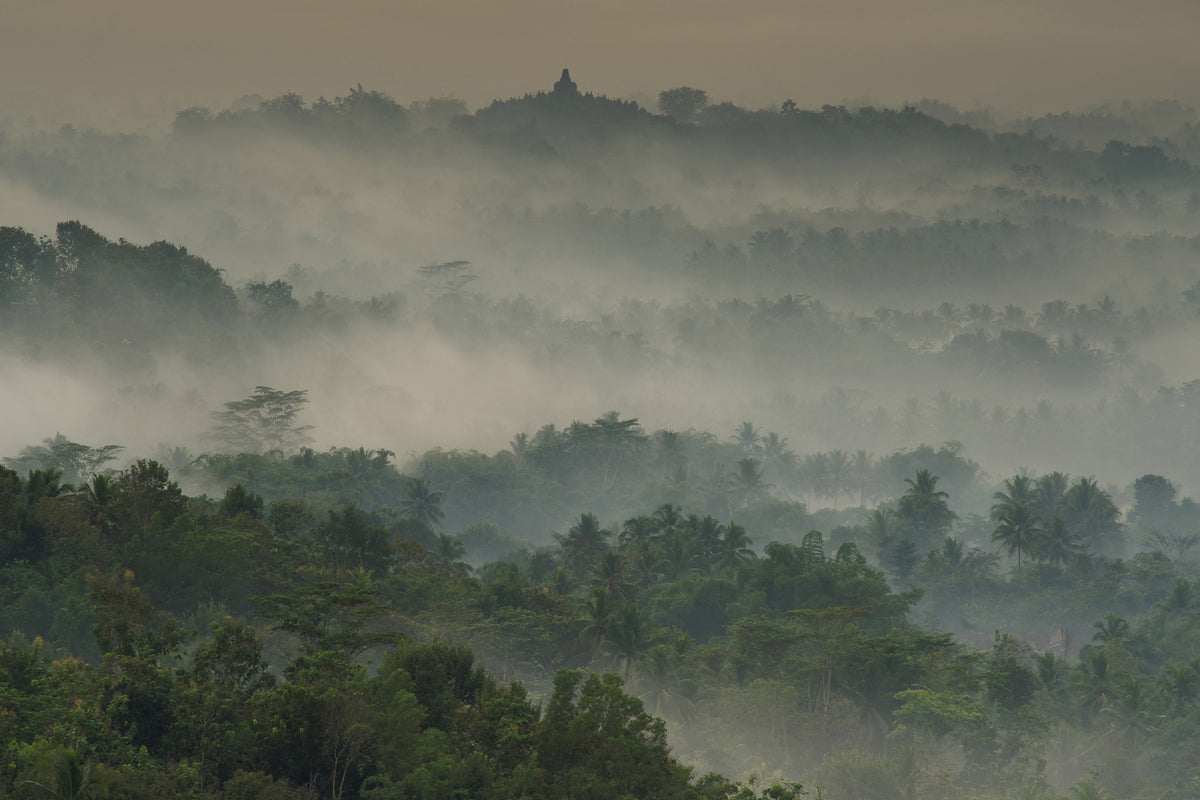3-piece-aluminium-print-temple-in-the-mist