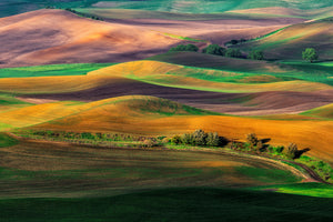 modern-3-piece-canvas-print-the-palouse