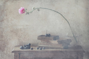 poster-print-mild-morning-of-october-x