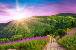 canvas-print-a-summer-landscape-at-sunrise