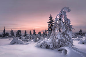 framedposter-print-lappland-winterwonderland-x