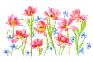 aluminium-print-spring-delight-x