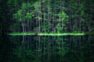 framedcanvas-print-green-world-x