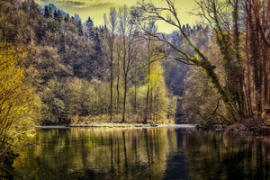 acrylic-print-lake-in-the-forest