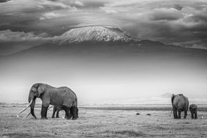 framedposter-print-the-land-of-giants-x