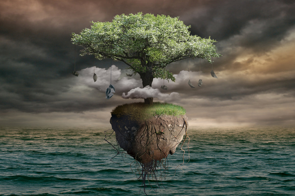 modern-3-piece-aluminium-print-lonely-tree