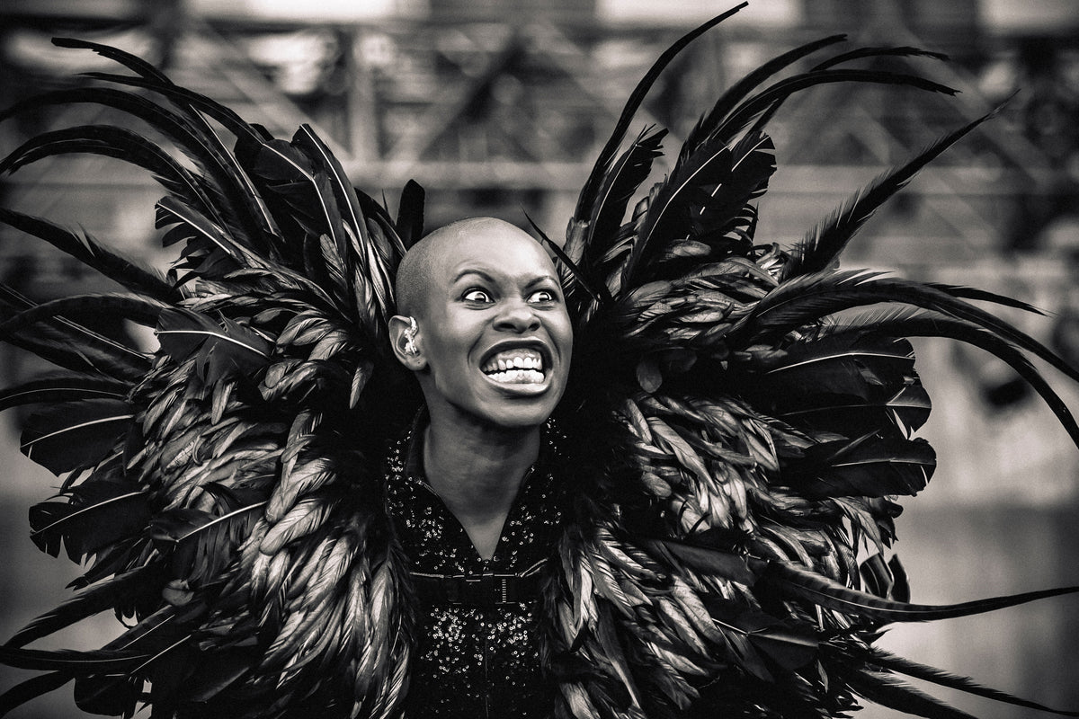 aluminium-print-skunk-anansie