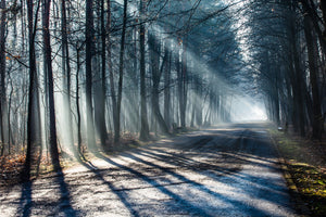 3-piece-acrylic-print-forest-in-the-light-beam