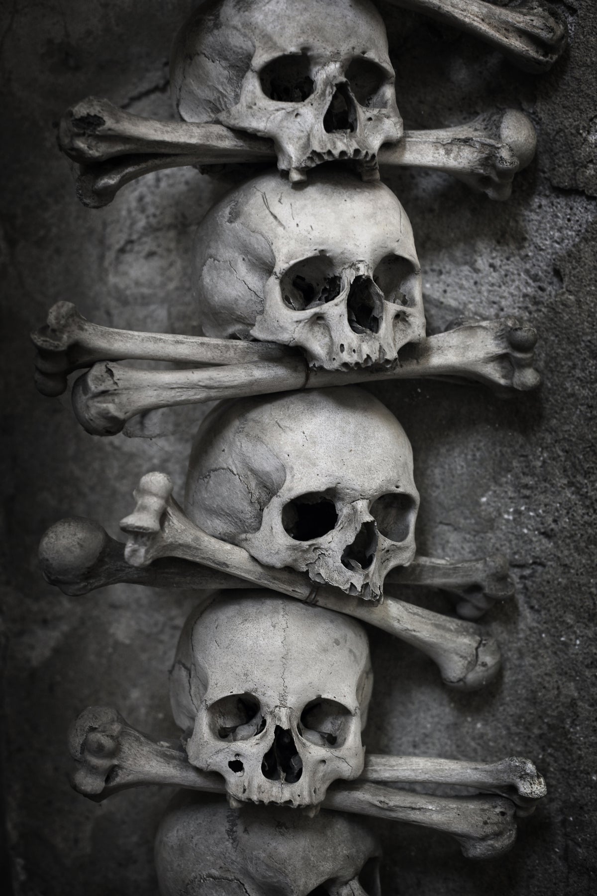 poster-print-skulls