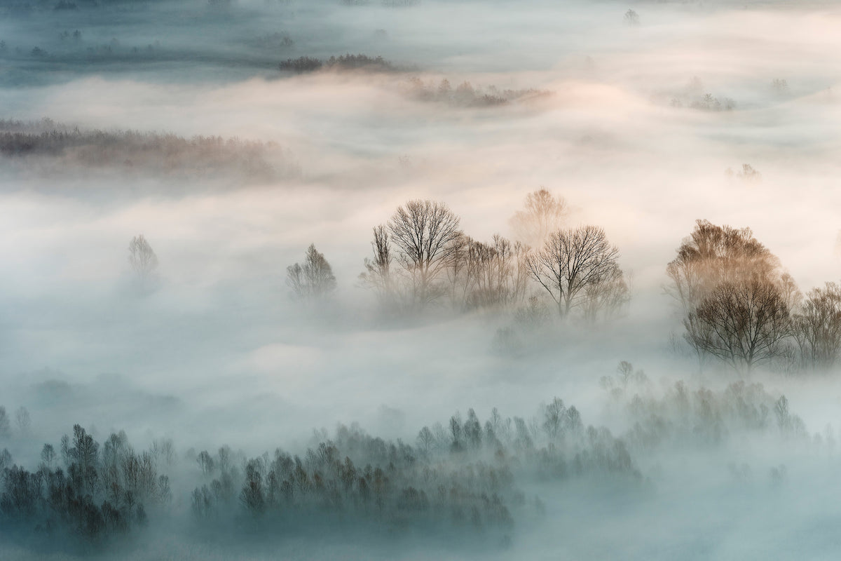 acrylic-print-winter-fog