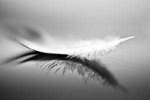aluminium-print-white-xza