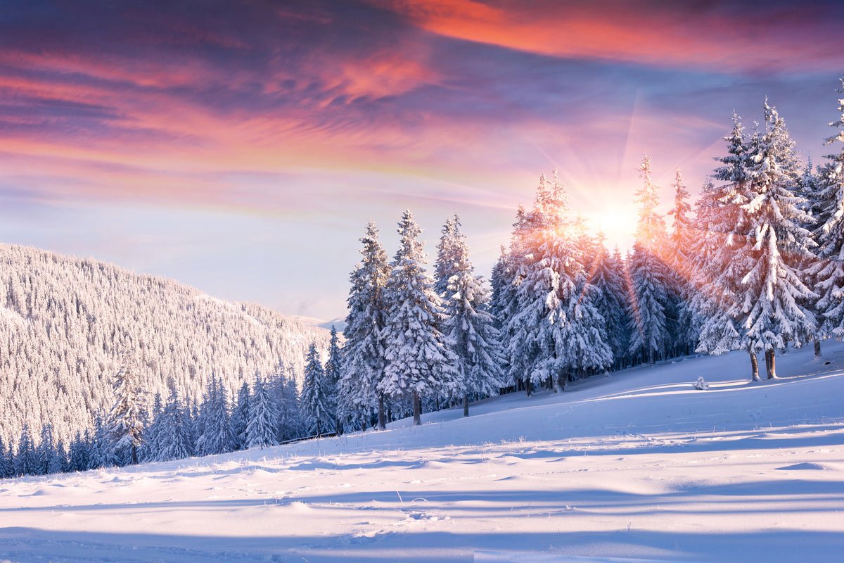 acrylic-print-winter-landscape