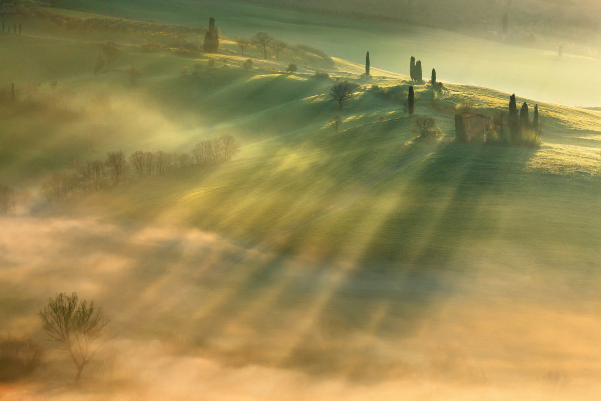 poster-print-mist-x