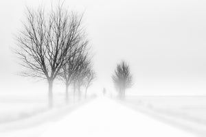 acrylic-print-my-tiny-world-x