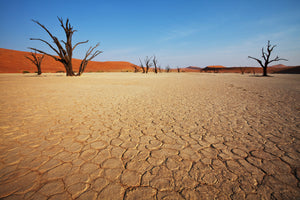 framedposter-print-desert