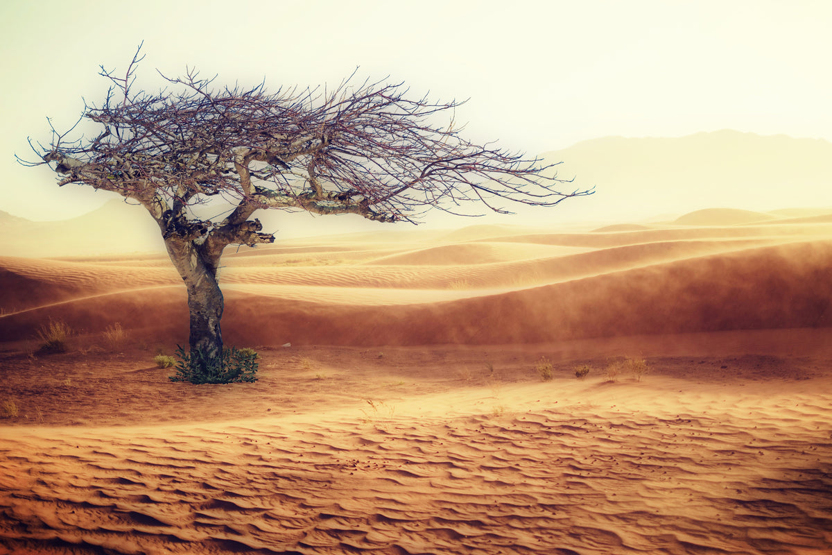 3-piece-acrylic-print-desert-storm