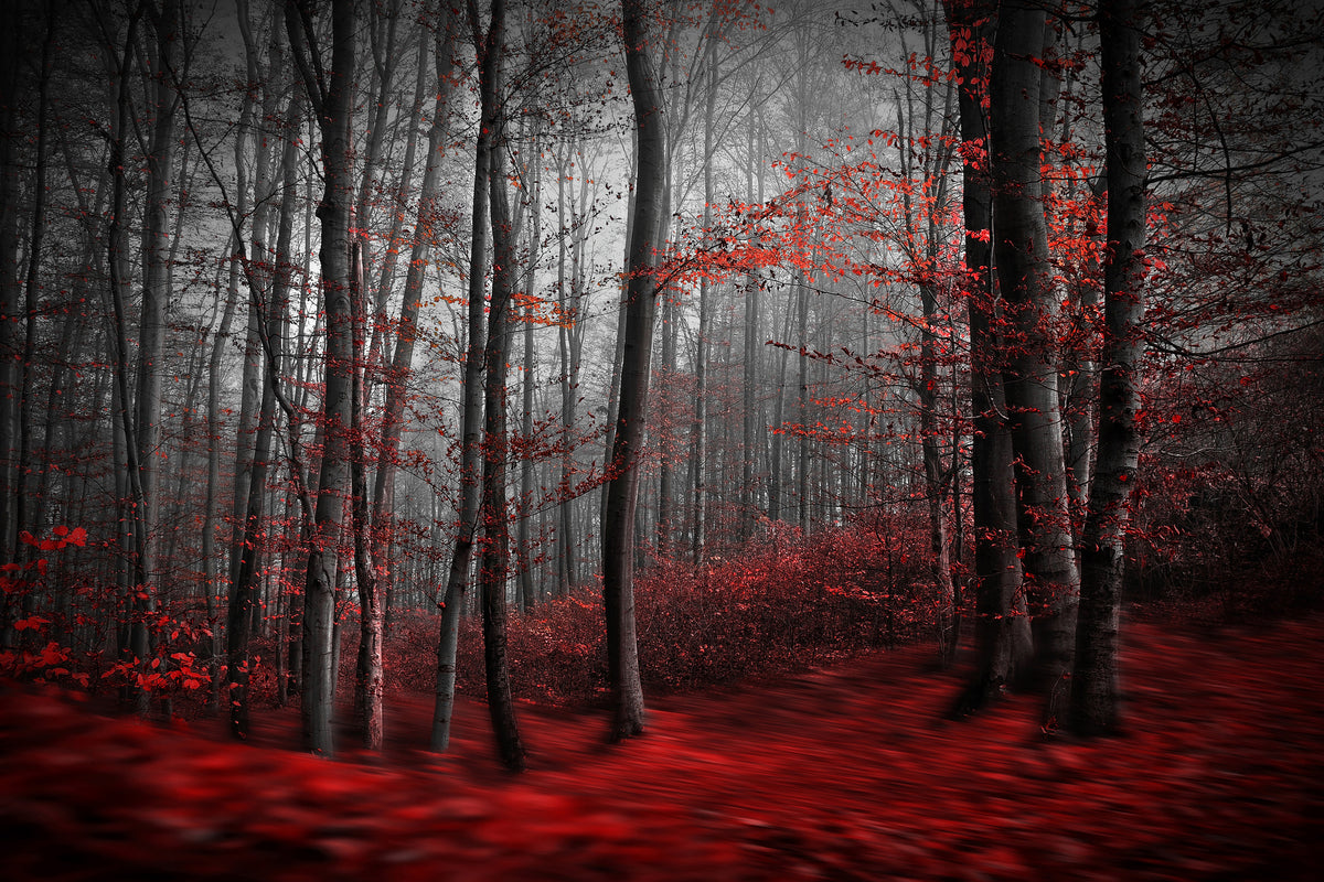 framedcanvas-print-bloody-river-x
