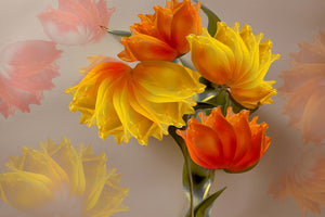framedposter-print-four-tulips-x