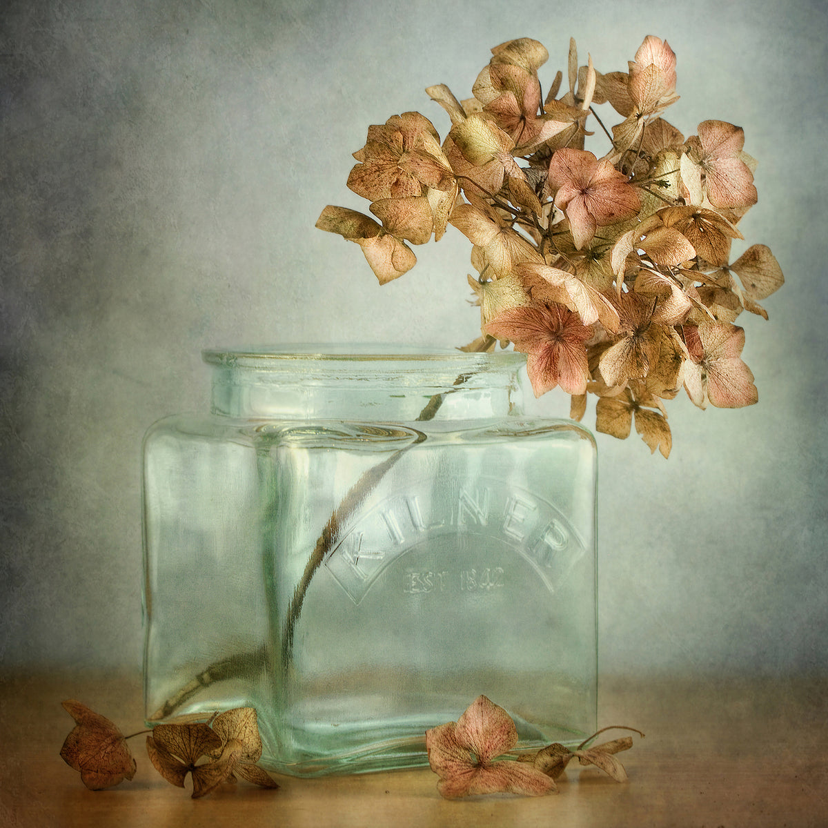 acrylic-print-hydrangea-x