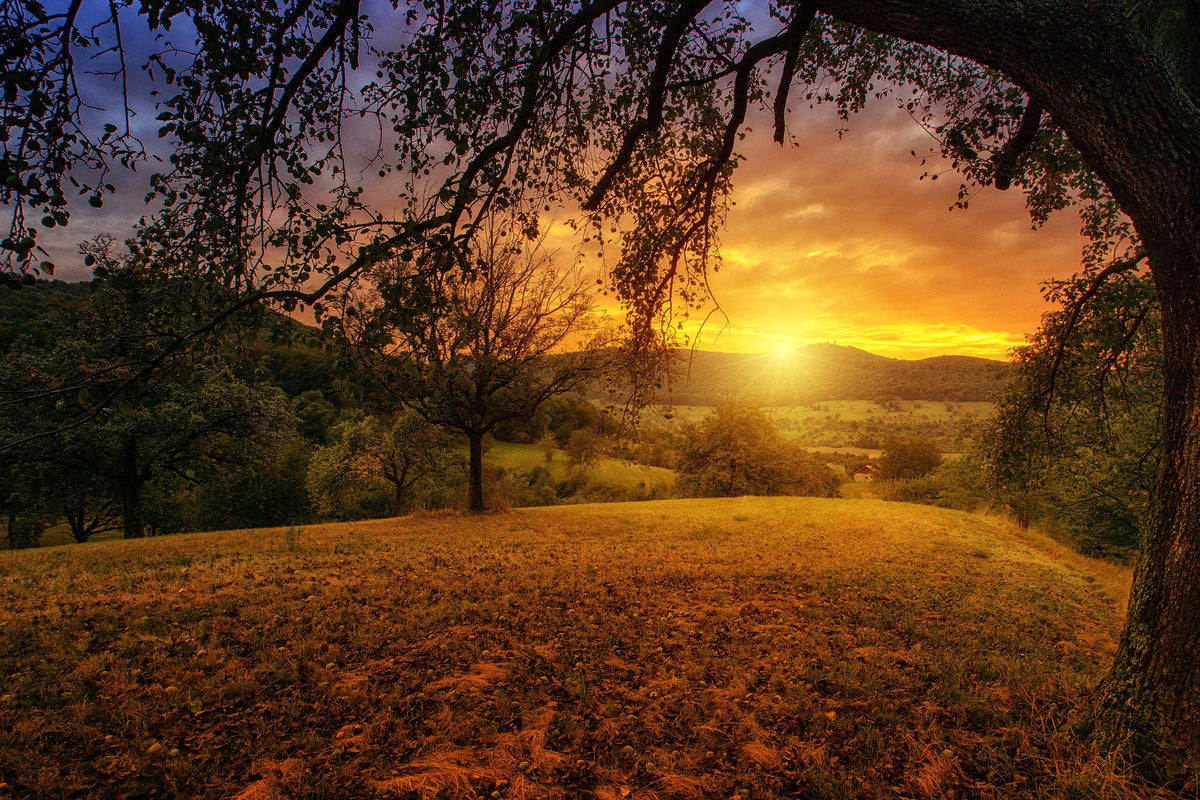 aluminium-print-a-landscape-in-the-sunset