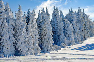 poster-print-beautiful-winter-landscape