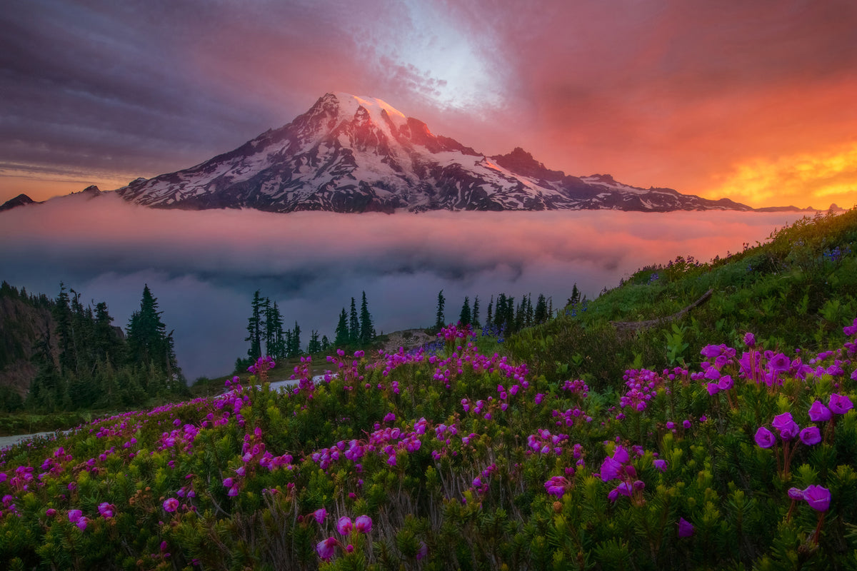 canvas-print-a-moment-in-time