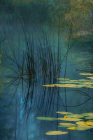 poster-print-aqua