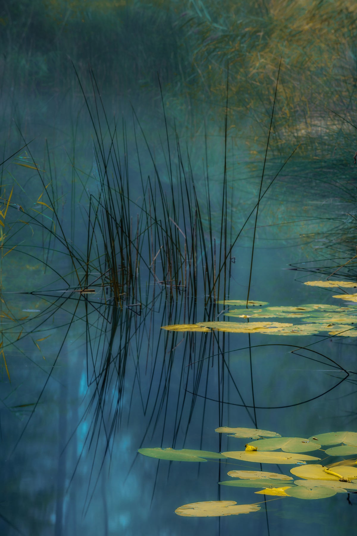 poster-print-aqua