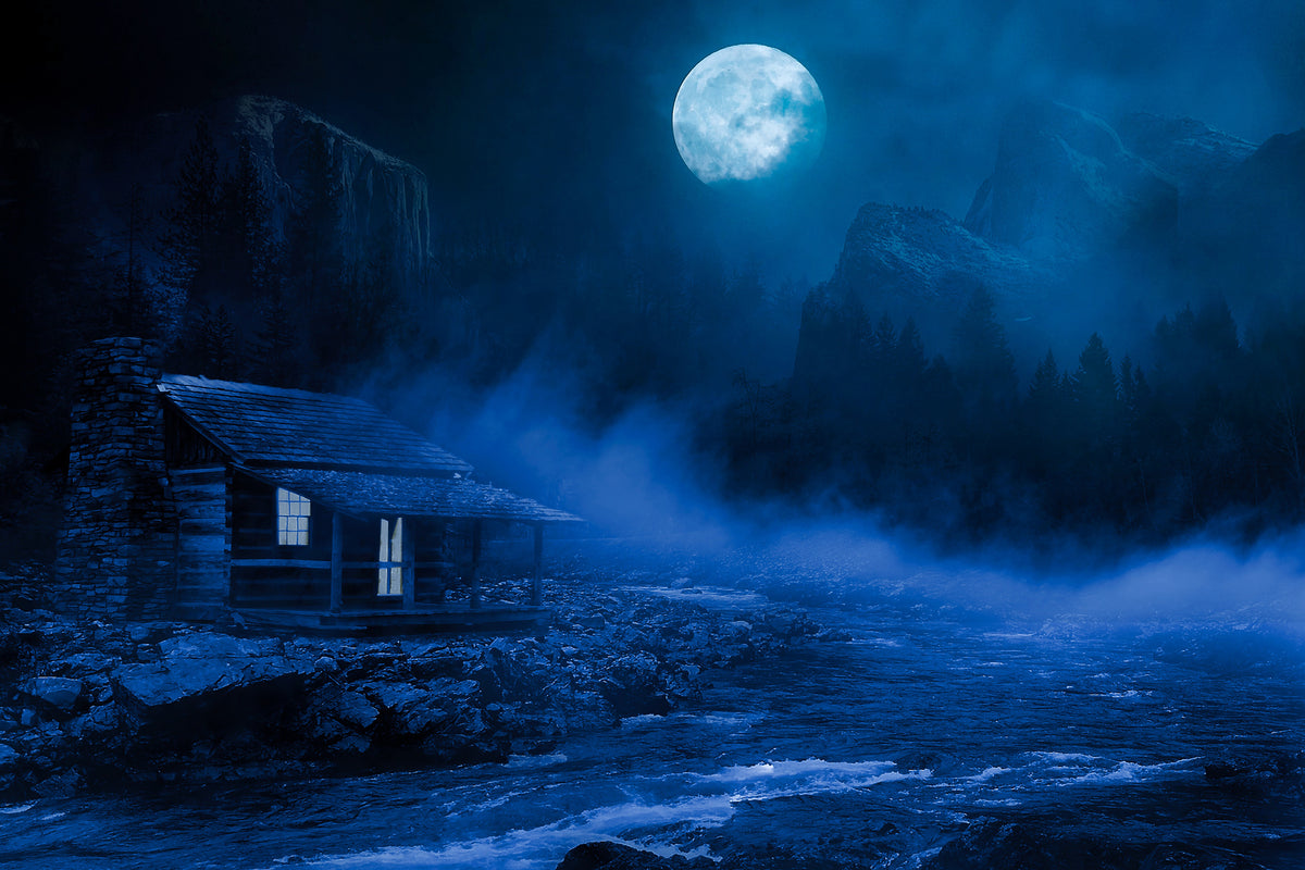 framedcanvas-print-at-night-in-the-woods