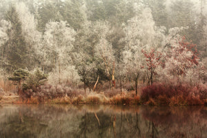 canvas-print-frozen-x