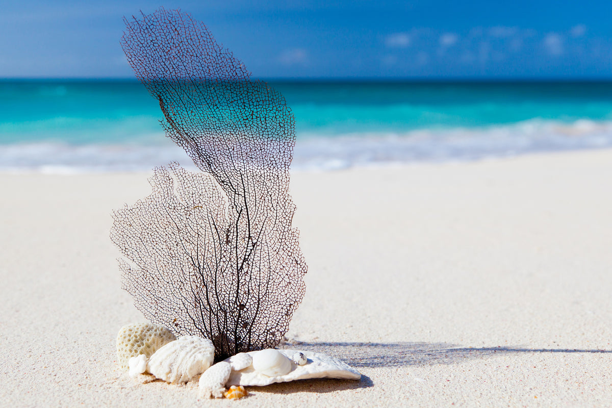 framedposter-print-beach-art