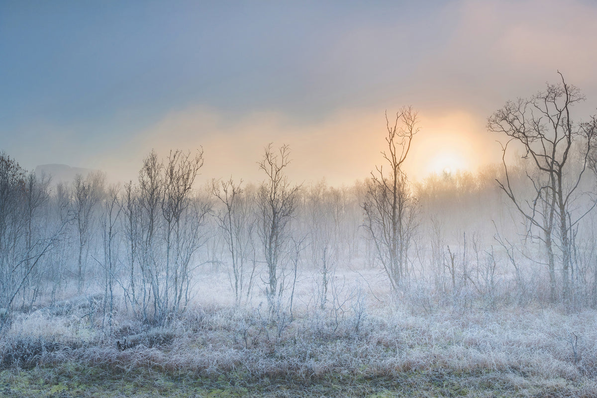 3-piece-aluminium-print-a-touch-of-winter