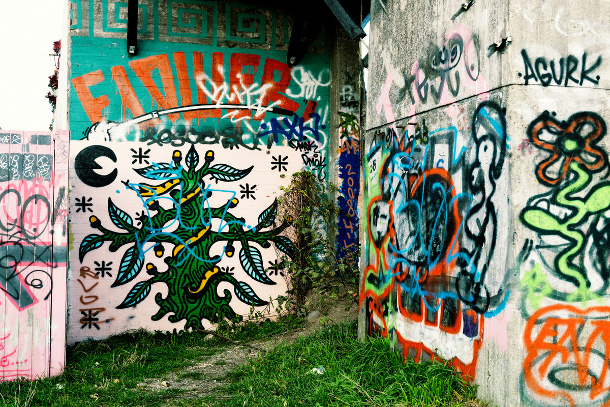 modern-3-piece-acrylic-print-graffiti-in-the-backyard