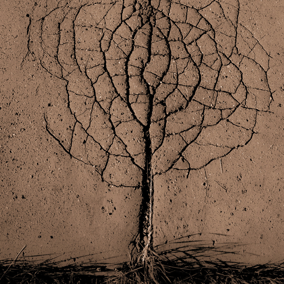 9-piece-acrylic-print-asphalt-tree