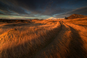 acrylic-print-the-long-winding-road-x