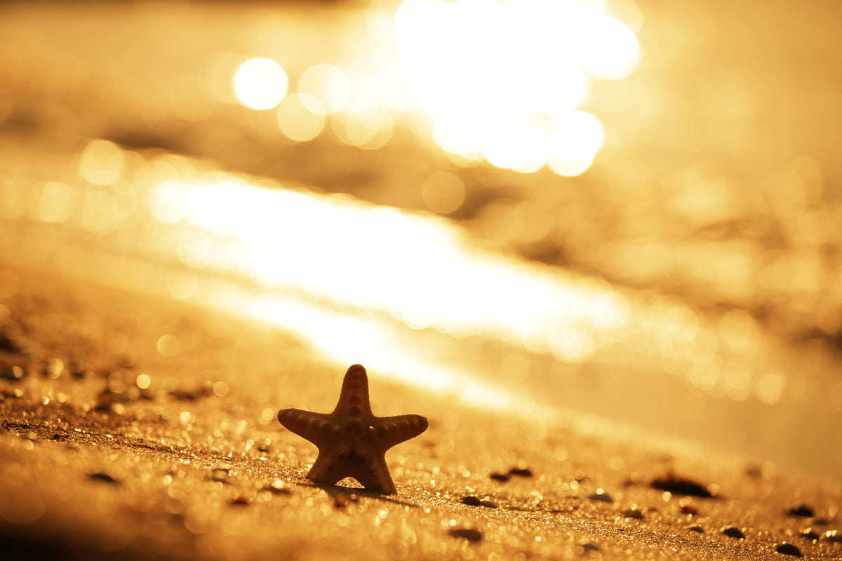 3-piece-acrylic-print-the-starfish