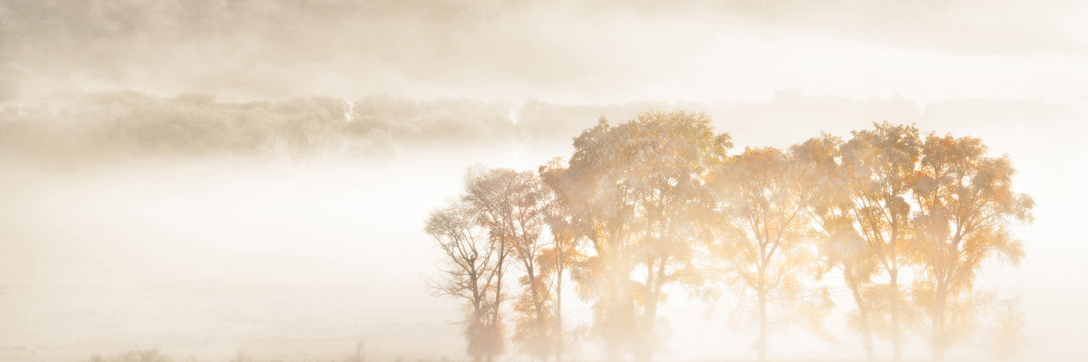 panoramic-acrylic-print-autumn-dreams-panorama
