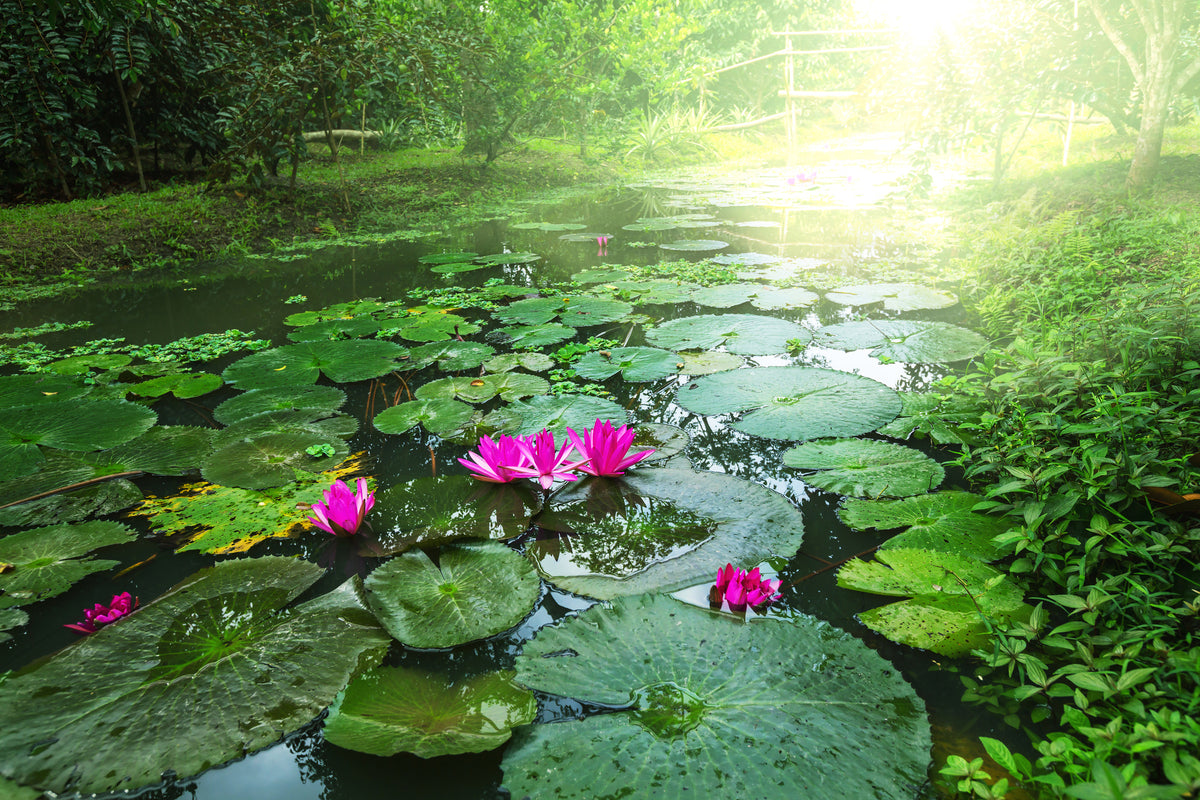 modern-3-piece-aluminium-print-garden-pond