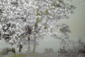 poster-print-spring-xep