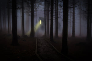 3-piece-acrylic-print-fog-in-the-forest