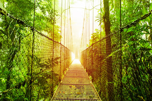 canvas-print-suspension-bridge