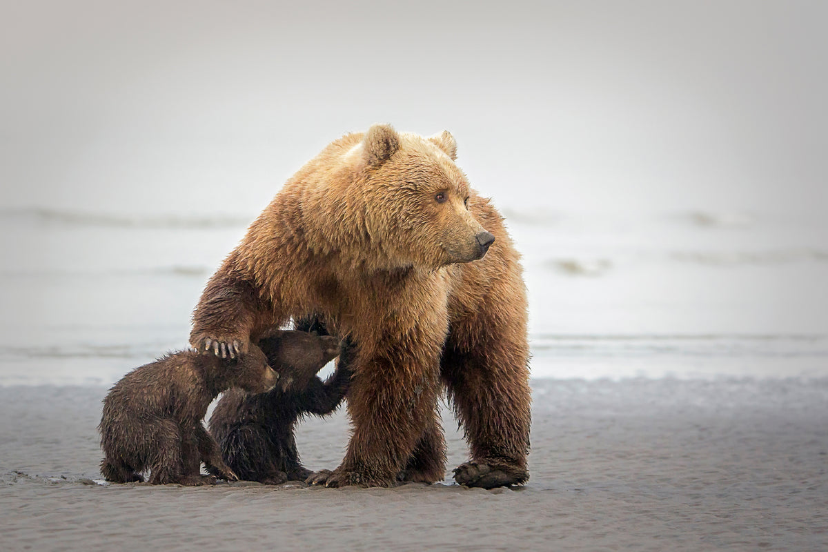 3-piece-aluminium-print-family-time