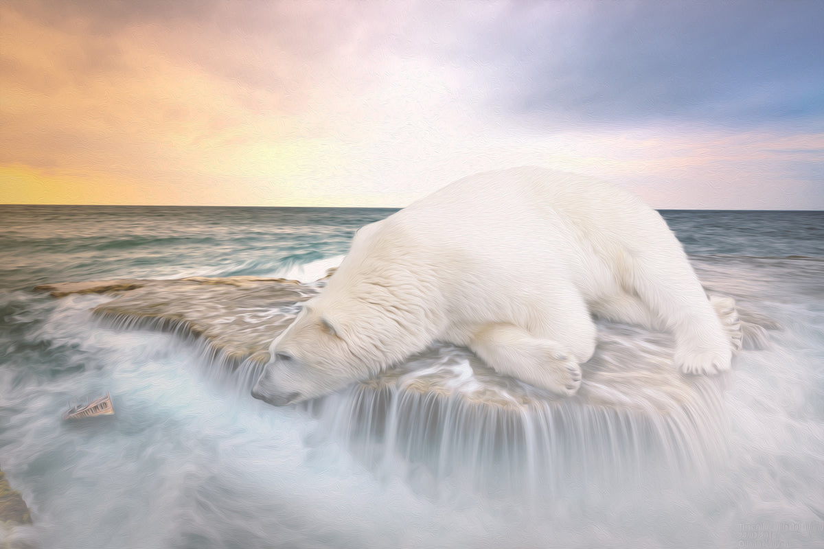 modern-3-piece-acrylic-print-the-polar-bear-and-the-sea