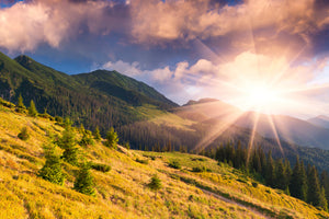 aluminium-print-beginning-of-autumn