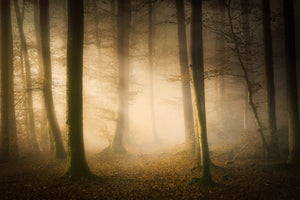 poster-print-november-whispers-x