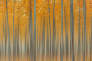 acrylic-print-autumn-delight-ii