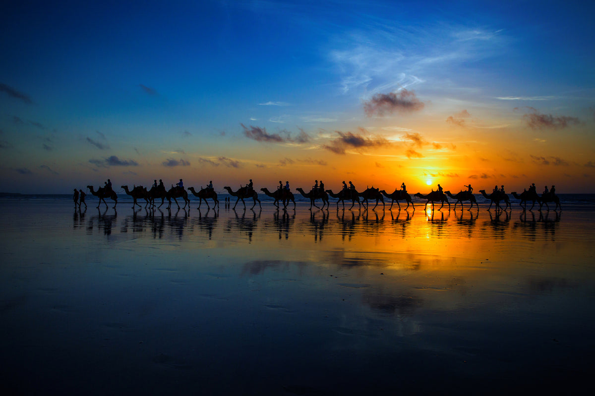 poster-print-sunset-camel-ride