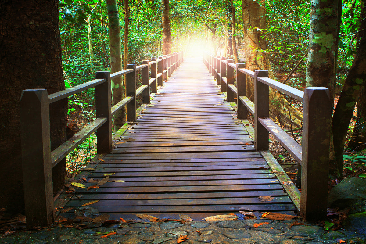canvas-print-the-bridge-in-the-forest